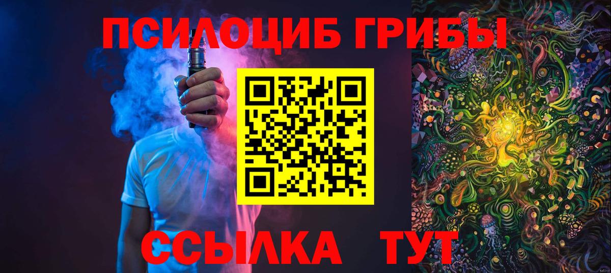 Псилоцибиновые грибы мицелий Ачинск